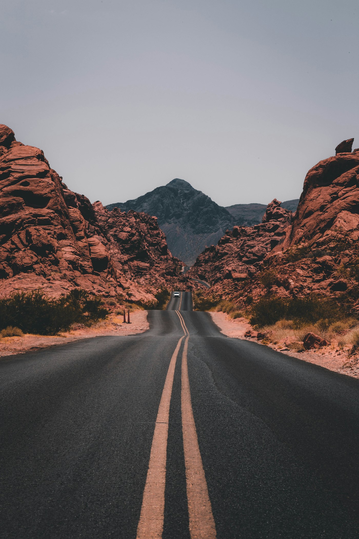 Rural landscape at golden hour